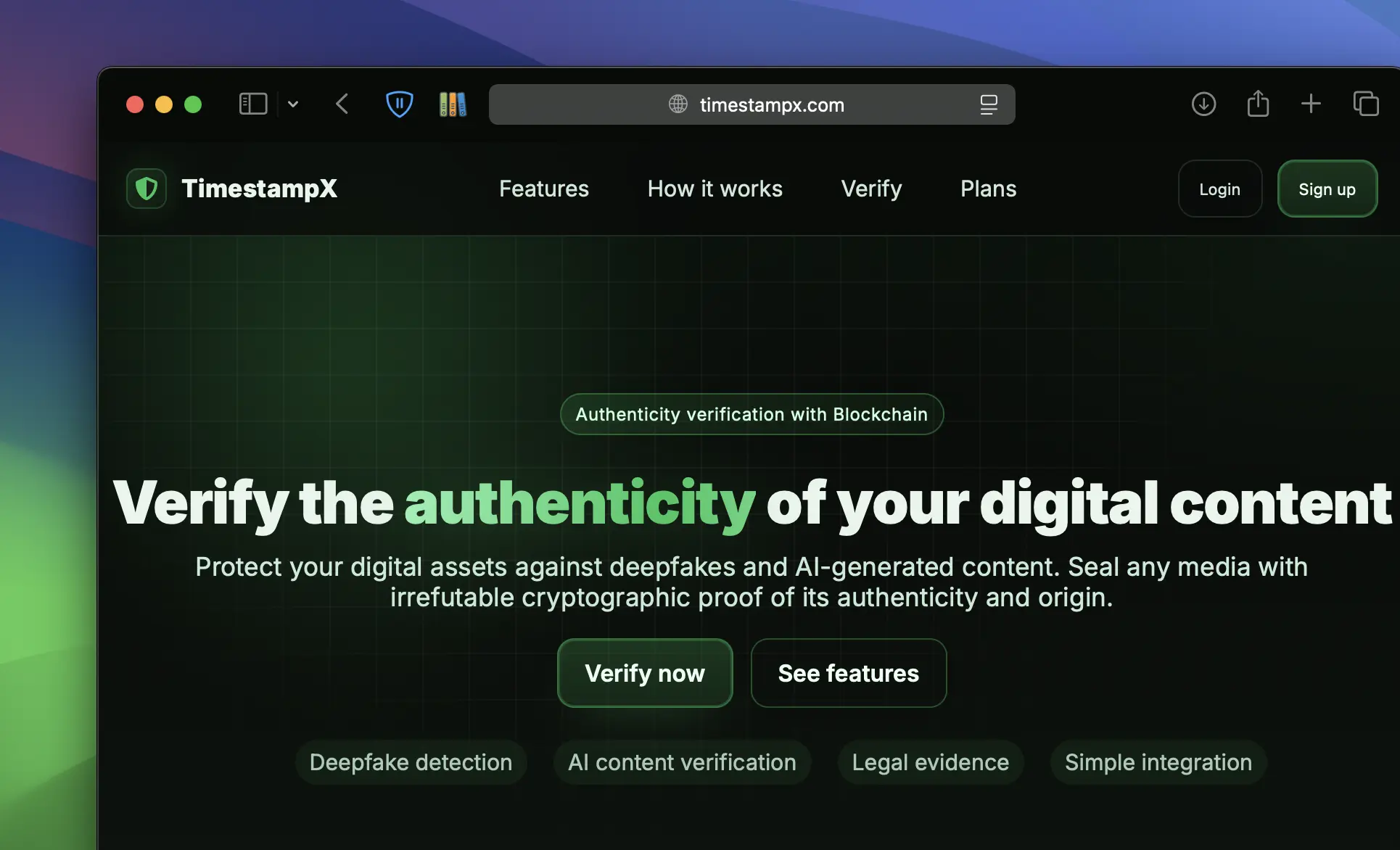 Recién llegado vs 5 años en Nueva Zelanda